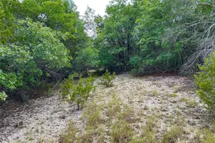 0000 County Road 330, Bertram, TX 78605 - Photo 15