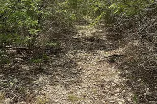 0000 County Road 330, Bertram, TX 78605 - Photo 19