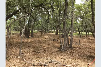 4239 County Road 336, Bertram, TX 78605 - Photo 25