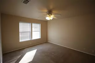 5005 Cana Cove, Austin, TX 78749 - Photo 19