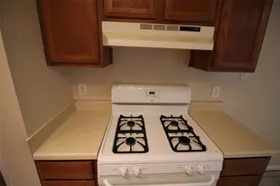 5005 Cana Cove, Austin, TX 78749 - Photo 11
