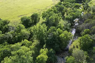 Lot 22 Serenity Dr, Bertram, TX 78605 - Photo 3