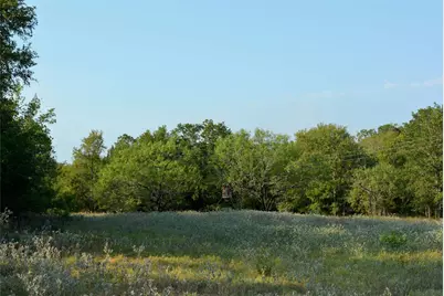 569 Tbd Burdette Wells Road, Lockhart, TX 78644 - Photo 11