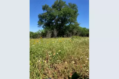 569 Tbd Burdette Wells Road, Lockhart, TX 78644 - Photo 3