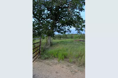 569 Tbd Burdette Wells Road, Lockhart, TX 78644 - Photo 15