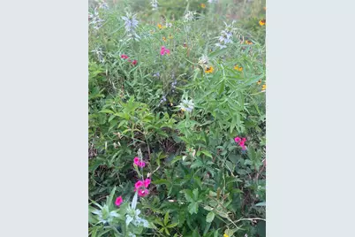 569 Tbd Burdette Wells Road, Lockhart, TX 78644 - Photo 17