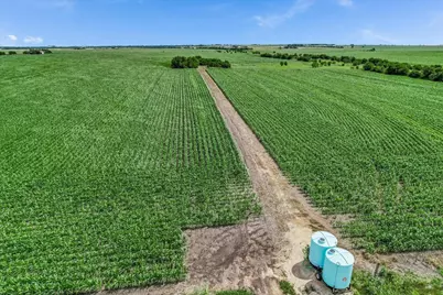 12500 Felder Lane, Coupland, TX 78615 - Photo 13