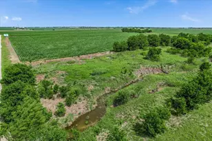 12500 Felder Ln, Coupland, TX 78615 - Photo 15