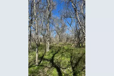 Lot 961 Riverside Drive, Bastrop, TX 78602 - Photo 5