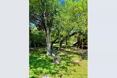 435 Burr Oak Lane, Canyon Lake, TX 78133 - Photo 3