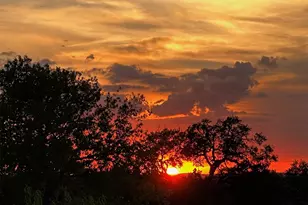 190 Carol Ann Dr, Austin, TX 78737 - Photo 33