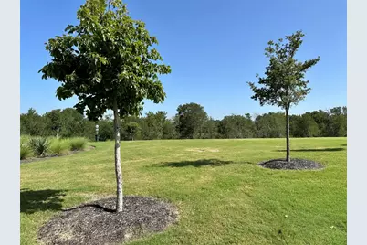 13410 Mussel Run, Elgin, TX 78621 - Photo 25