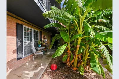 900 S Lamar Boulevard #205, Austin, TX 78704 - Photo 9