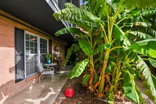 900 S Lamar Blvd, Austin, TX 78704 - Photo 9