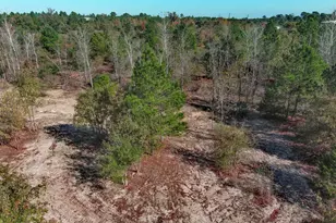 123 Lariat Ct, Bastrop, TX 78602 - Photo 39