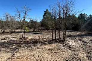 123 Lariat Ct, Bastrop, TX 78602 - Photo 35