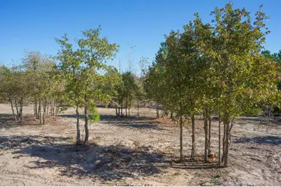 123 Lariat Court, Bastrop, TX 78602 - Photo 19