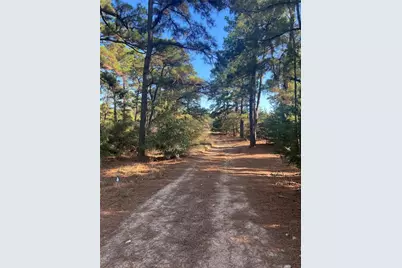 Tbd Pine Lodge Drive, Bastrop, TX 78602 - Photo 1