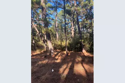 Tbd Pine Lodge Drive, Bastrop, TX 78602 - Photo 3