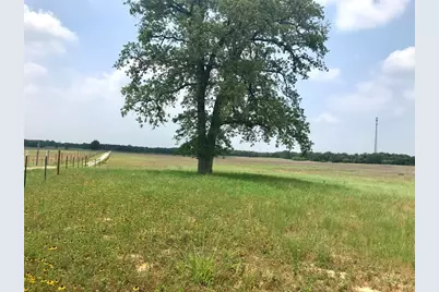 1672 Tract 1 Sayers Road, Bastrop, TX 78602 - Photo 9