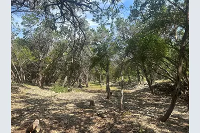 543 Narrows Road, Blanco, TX 78606 - Photo 5