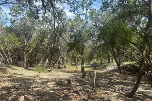 543 Narrows Rd, Blanco, TX 78606 - Photo 5