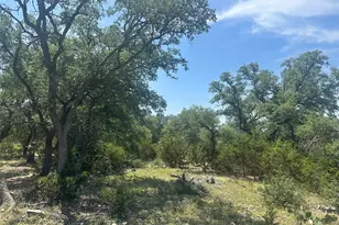 543 Narrows Rd, Blanco, TX 78606 - Photo 11