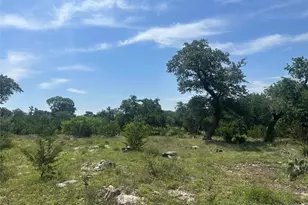 543 Narrows Rd, Blanco, TX 78606 - Photo 17