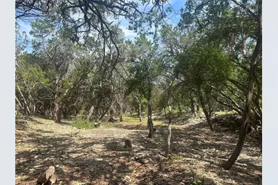 543 Narrows Road, Blanco, TX 78606 - Photo 5