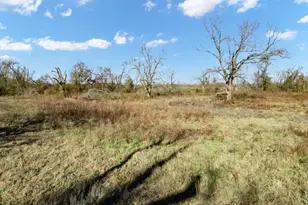 Tbd County Road 721, Groesbeck, TX 76653 - Photo 11