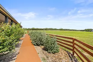 2124 Crabapple Rd, Blanco, TX 78606 - Photo 5