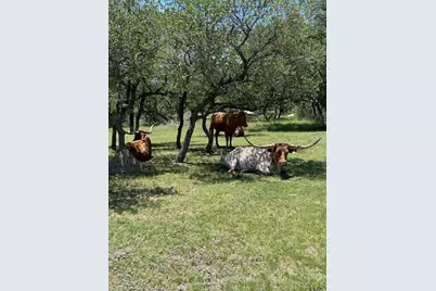 2124 Crabapple Road, Blanco, TX 78606 - Photo 31