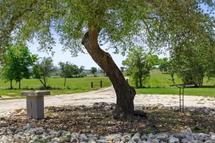 2124 Crabapple Rd, Blanco, TX 78606 - Photo 25