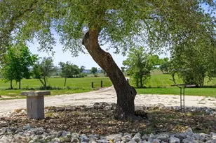 2124 Crabapple Rd, Blanco, TX 78606 - Photo 25