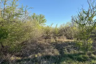 14 Spanish Oaks Blvd, Lockhart, TX 78644 - Photo 3