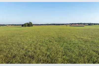 3419 County Road 309, Lexington, TX 78947 - Photo 5