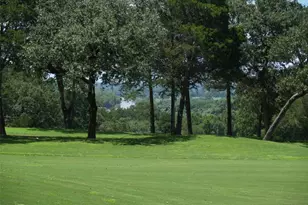 539 Colovista Pkwy, Bastrop, TX 78602 - Photo 27