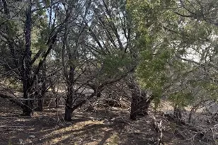 20003 Continental Cove, Leander, TX 78645 - Photo 1