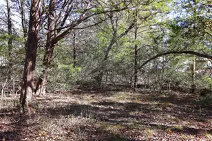 Tbd Choctaw Trail, Smithville, TX 78957 - Photo 1