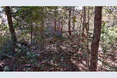 Tbd Choctaw Trail, Smithville, TX 78957 - Photo 7