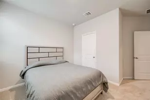 102 Rainmaker Cv, Bastrop, TX 78602 - Photo 19