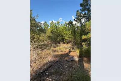Lot 702 Oahu Court, Bastrop, TX 78602 - Photo 3