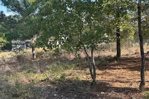 Lot 702 Oahu Ct, Bastrop, TX 78602 - Photo 1