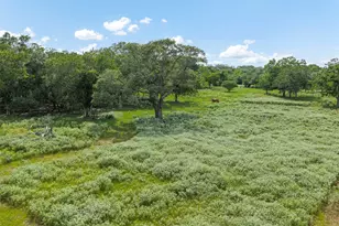 2005 W Grand Ave, Yoakum, TX 77995 - Photo 17