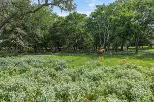 2005 W Grand Ave, Yoakum, TX 77995 - Photo 15