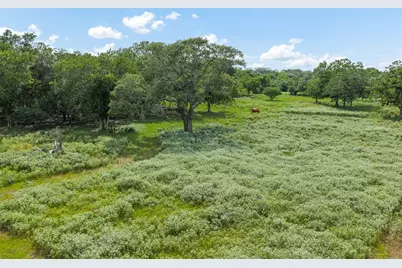 2005 W Grand Avenue, Yoakum, TX 77995 - Photo 17
