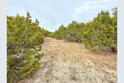 557 Abodar Trail, Spring Branch, TX 78070 - Photo 9