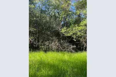 Lot 768 Kaukonahua Lane, Bastrop, TX 78602 - Photo 9
