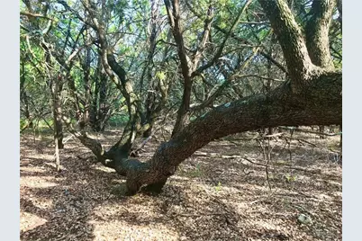 8126 Chantilly Trail, Leander, TX 78645 - Photo 3