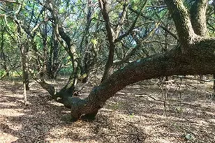 8126 Chantilly Trail, Leander, TX 78645 - Photo 3